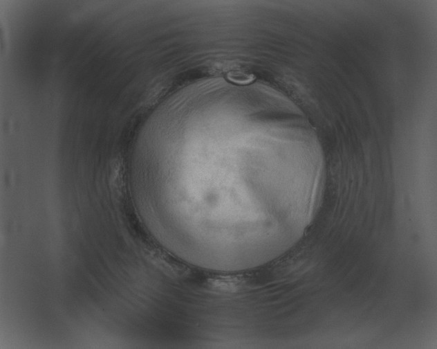 X0000067520079200604211828