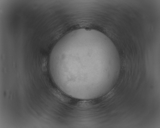 X0000067520082200604211828