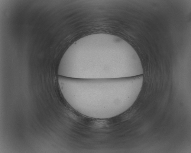 X0000067520085200604211828