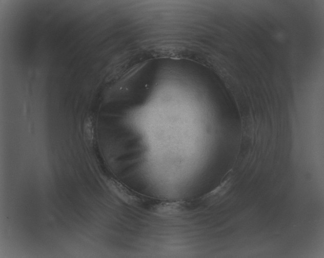 X0000067520086200604211828