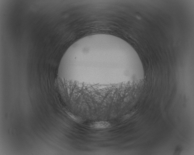 X0000067520087200604211828