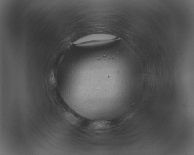 X0000067520089200604211828