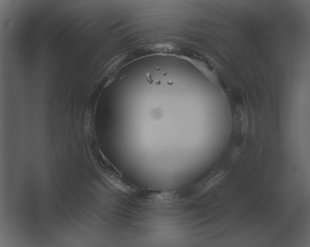 X0000067520092200604211828