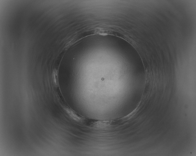 X0000067520094200604211828