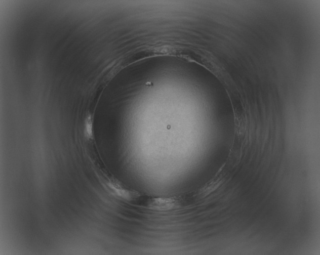 X0000067520095200604211828