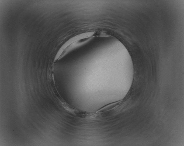 X0000067520096200604211828