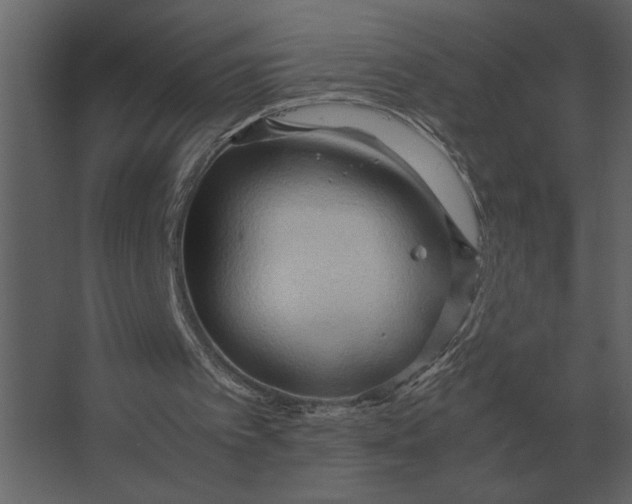 X0000067520097200604211827