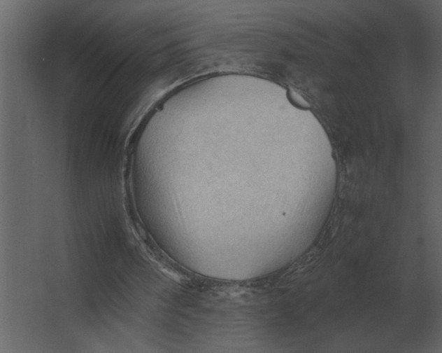 X0000067520098200604211827