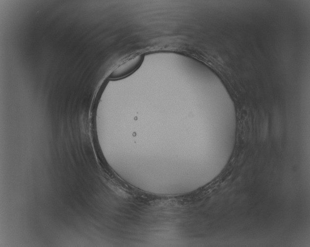 X0000067520100200604211827