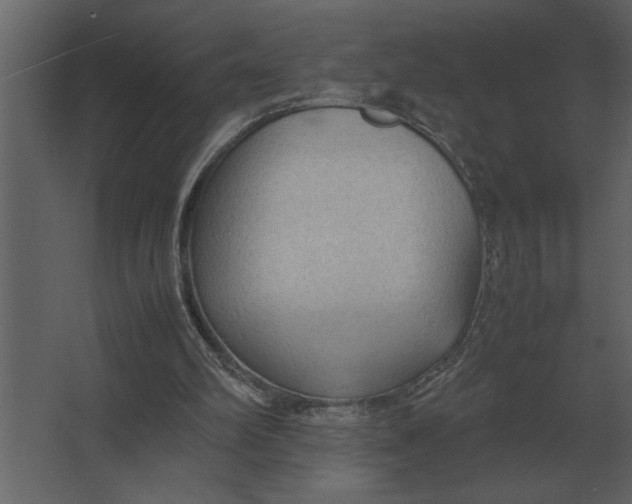 X0000067520102200604211827