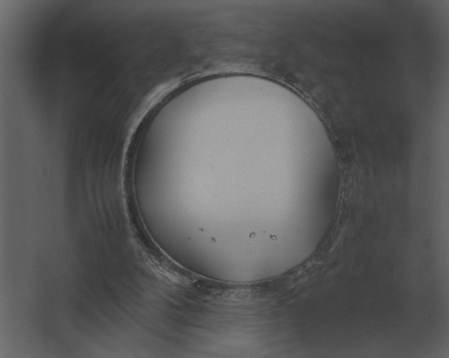 X0000067520104200604211827