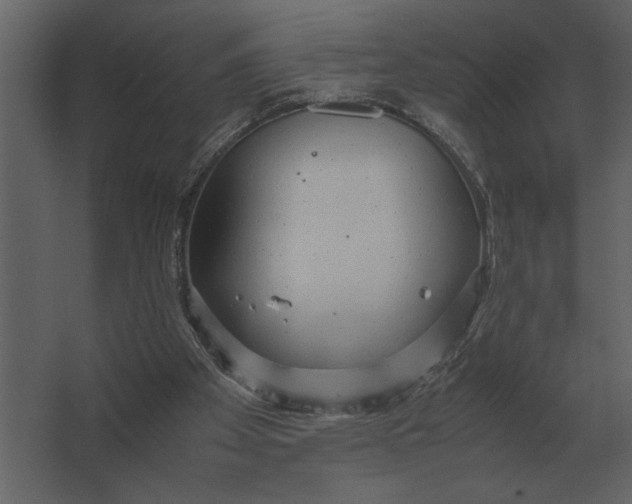 X0000067520105200604211827