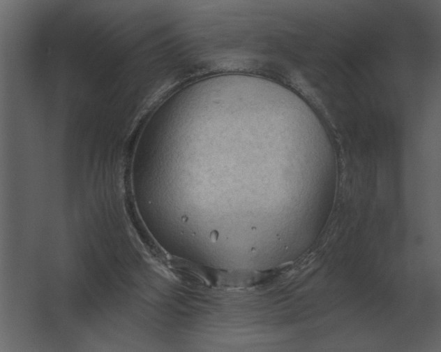 X0000067520106200604211827