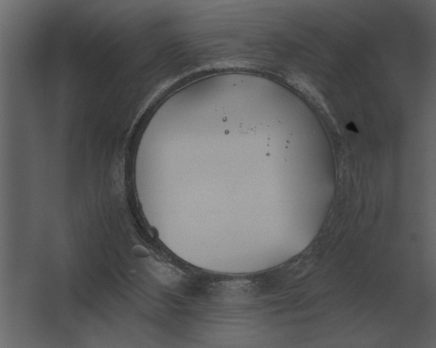 X0000067520108200604211827