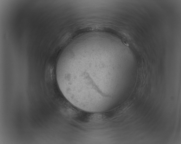 X0000067520123200604211827