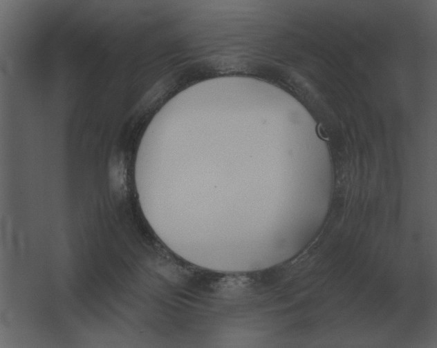 X0000067520124200604211827