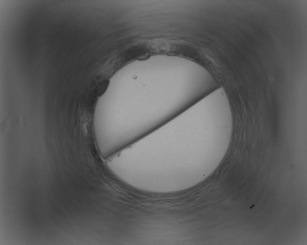 X0000067520125200604211827