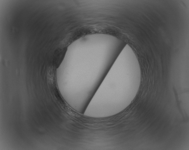 X0000067520129200604211827