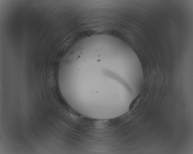 X0000067520136200604211827