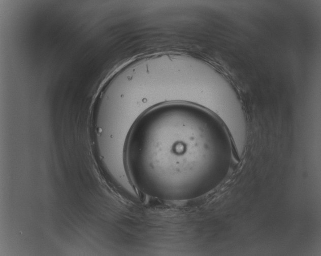 X0000067520146200604211826