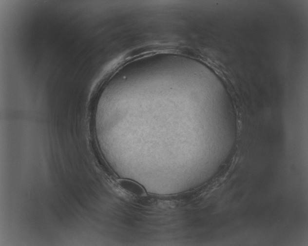 X0000067520149200604211826