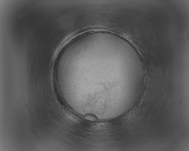 X0000067520151200604211826