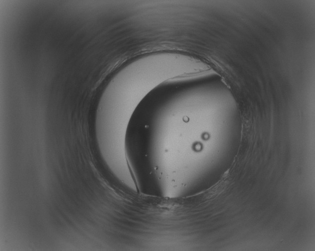 X0000067520158200604211826