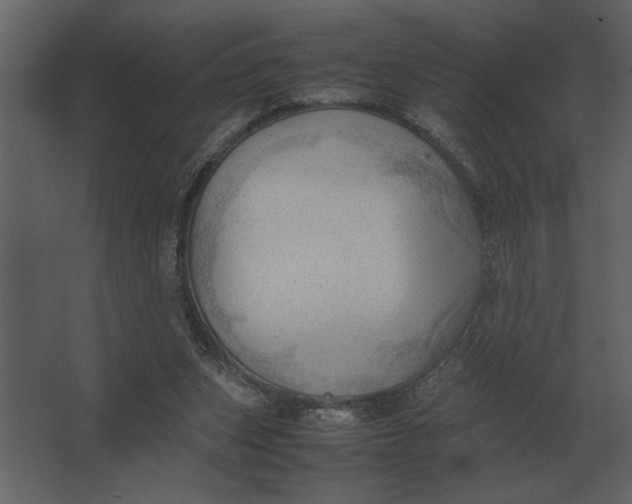 X0000067520159200604211826