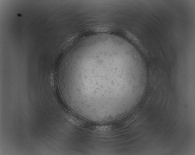 X0000067520161200604211826