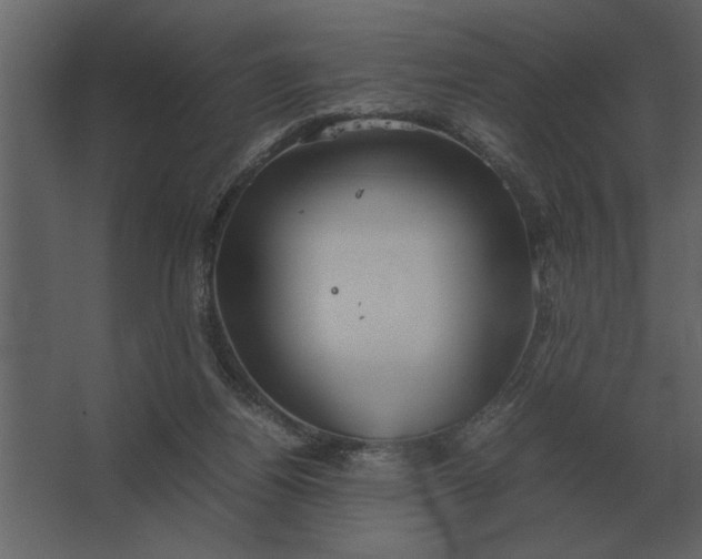 X0000067520164200604211826