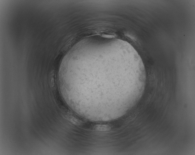 X0000067520169200604211826