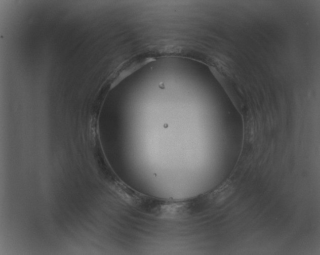 X0000067520172200604211826