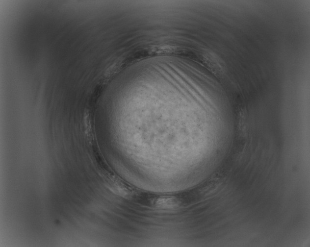 X0000067520173200604211826