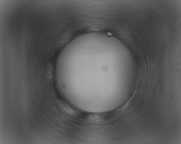 X0000067520174200604211826