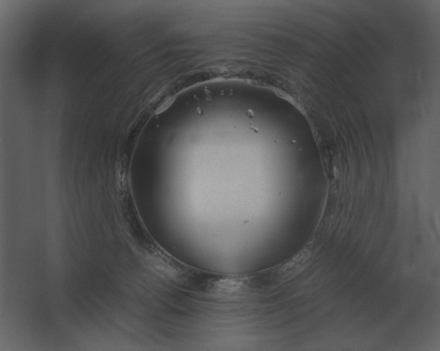 X0000067520176200604211826