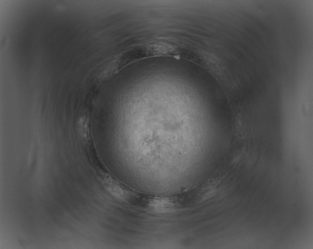 X0000067520177200604211826