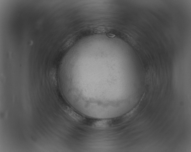 X0000067520178200604211826