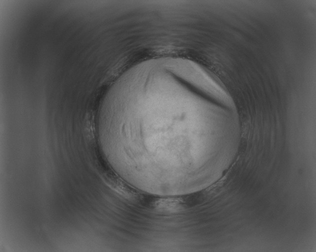 X0000067520179200604211826