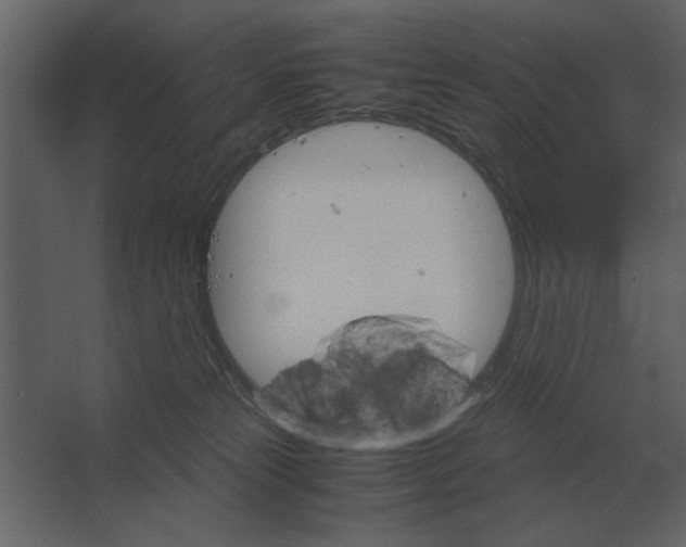 X0000067520181200604211826