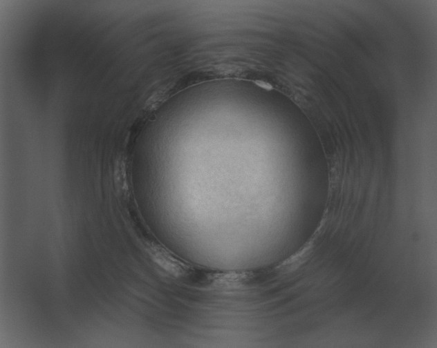 X0000067520182200604211826