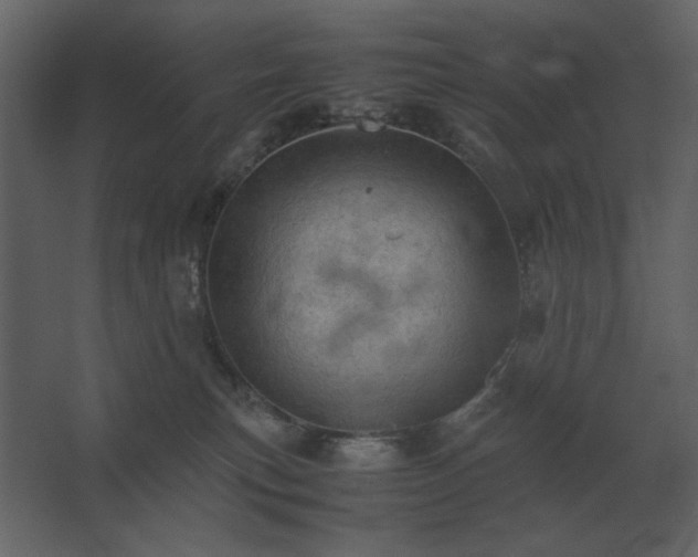 X0000067520183200604211826