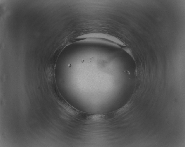 X0000067520184200604211826