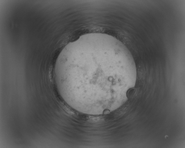 X0000067520185200604211826