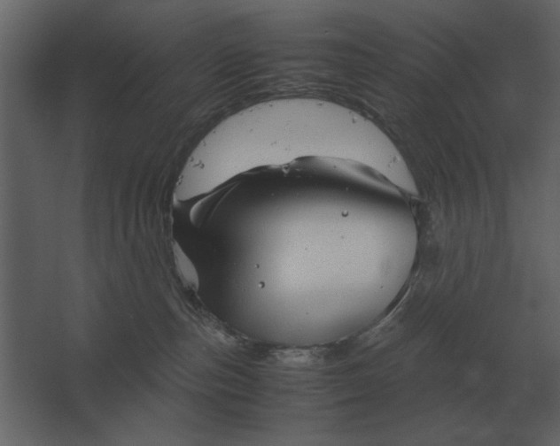 X0000067520187200604211826