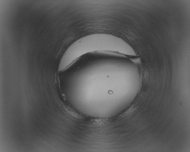 X0000067520188200604211826