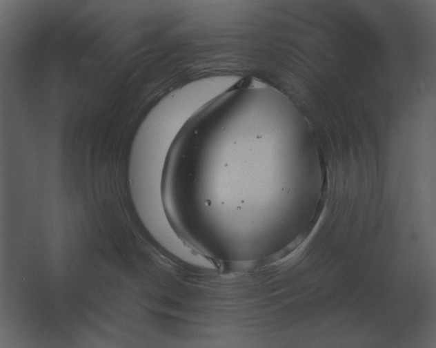 X0000067520190200604211826