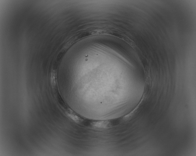 X0000067520191200604211826