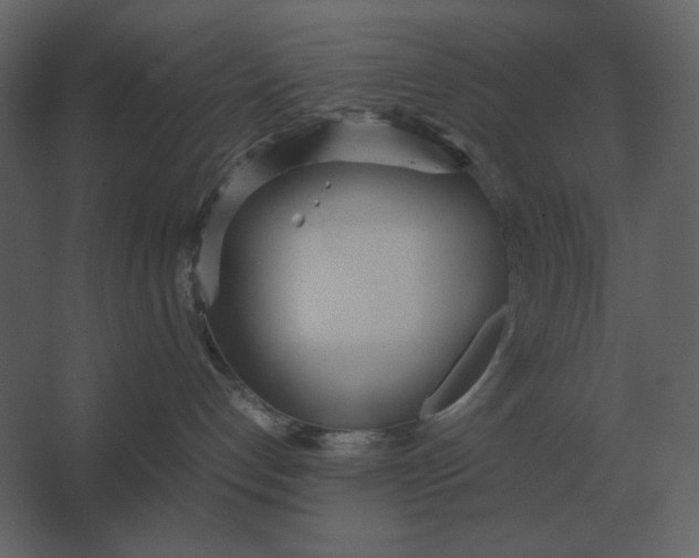 X0000067520192200604211826