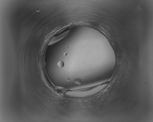 X0000067520193200604211826