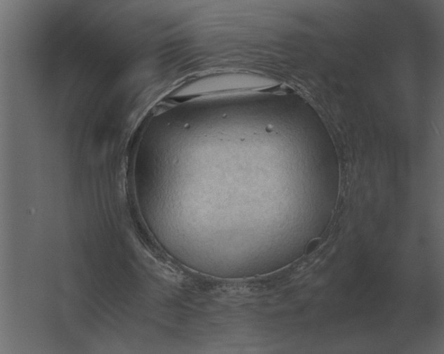 X0000067520194200604211826